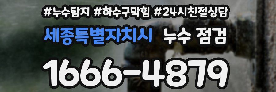 세종특별자치시 누수 점검