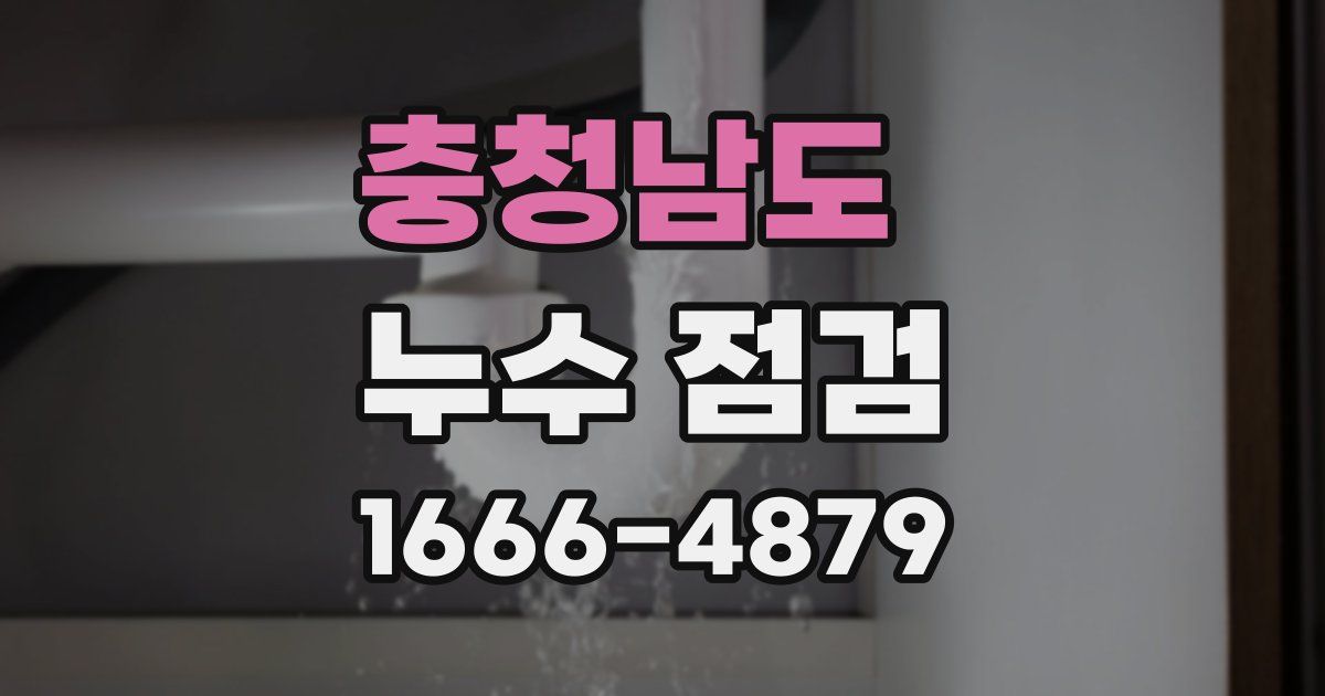 충청남도 누수 점검