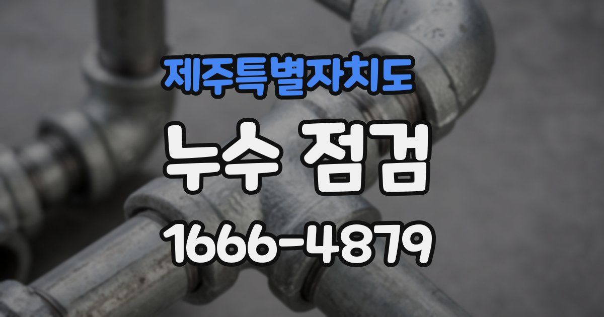 제주특별자치도 누수 점검
