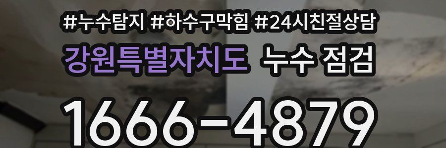 강원특별자치도 누수 점검