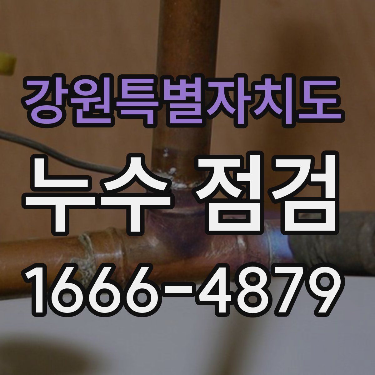 강원특별자치도 누수 점검
