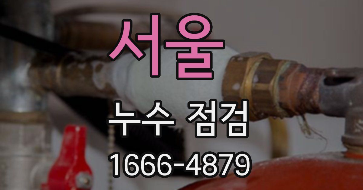 서울 누수 점검