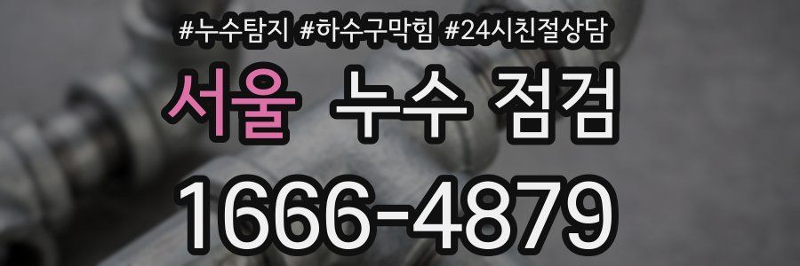 서울 누수 점검