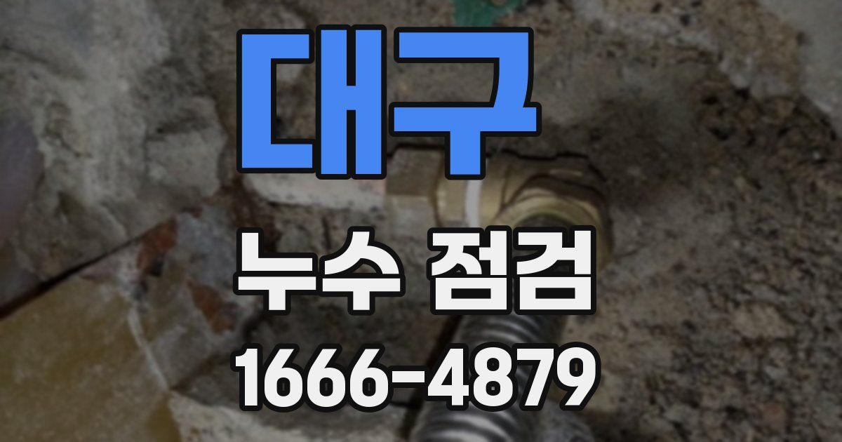 대구 누수 점검