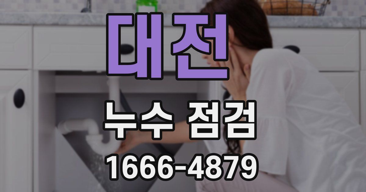 대전 누수 점검