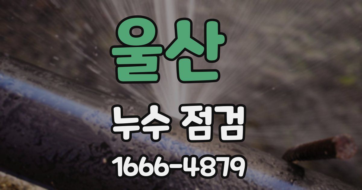 울산 누수 점검
