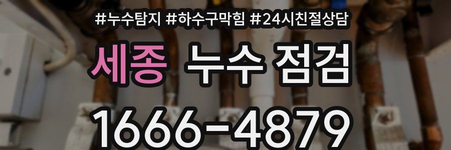 세종 누수 점검