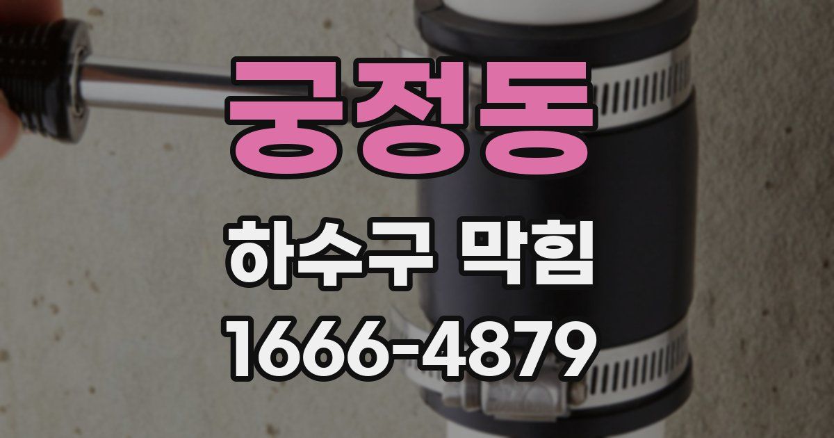궁정동 하수구 막힘