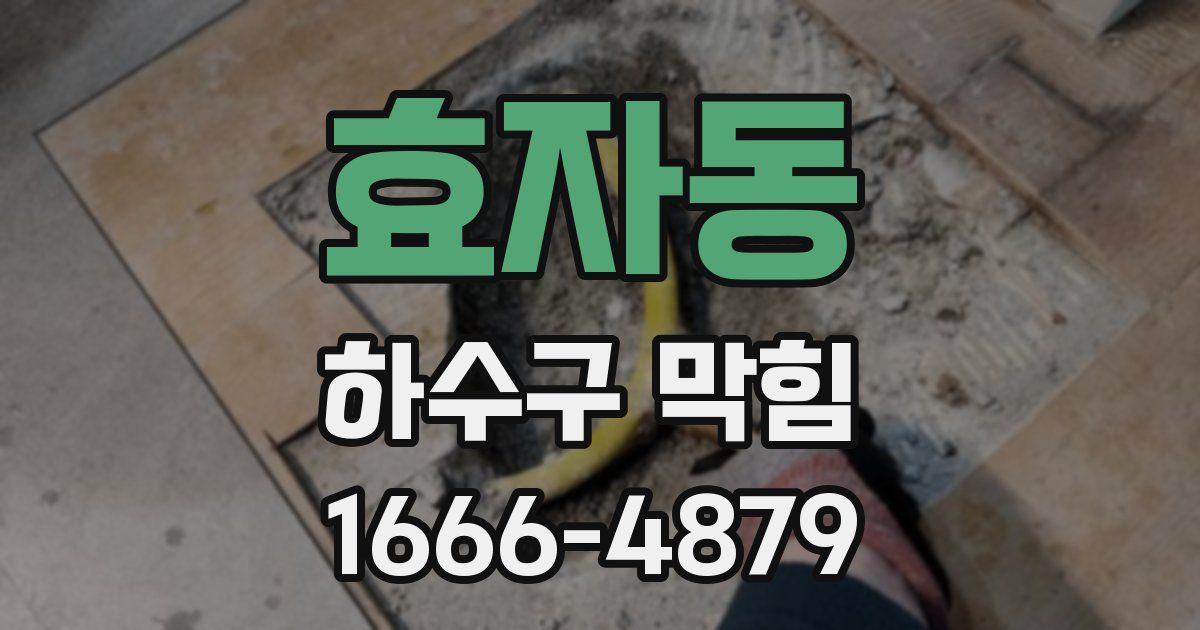 효자동 하수구 막힘