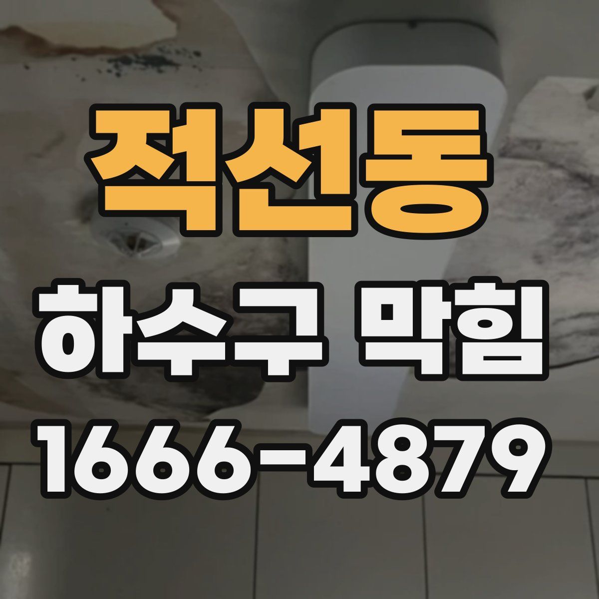 적선동 하수구 막힘
