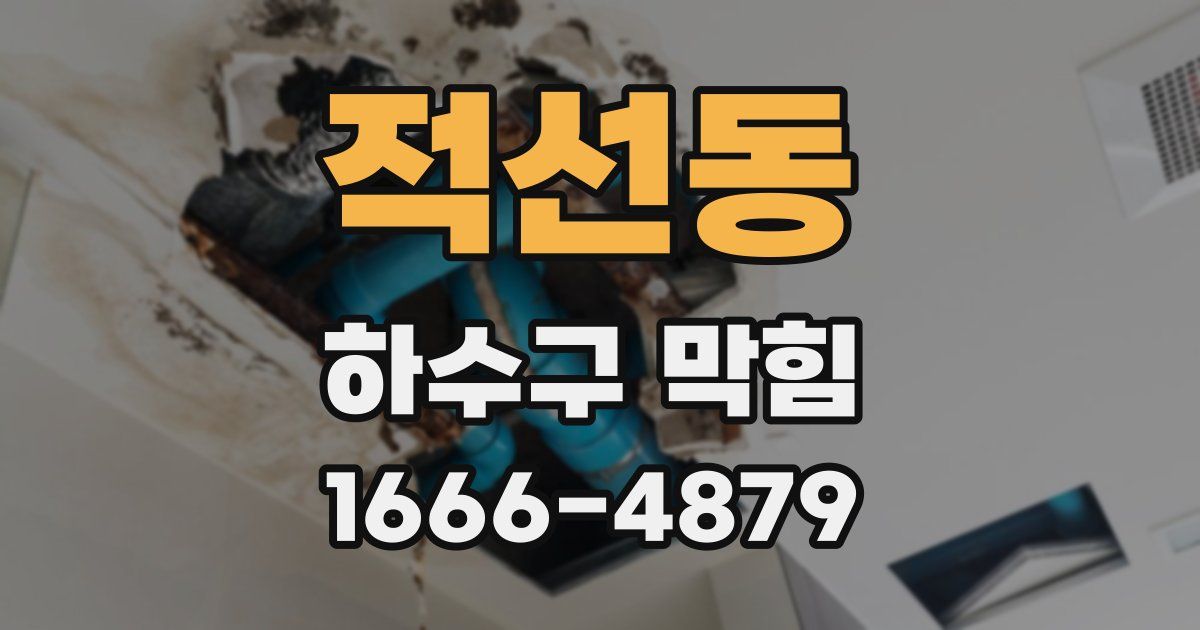 적선동 하수구 막힘