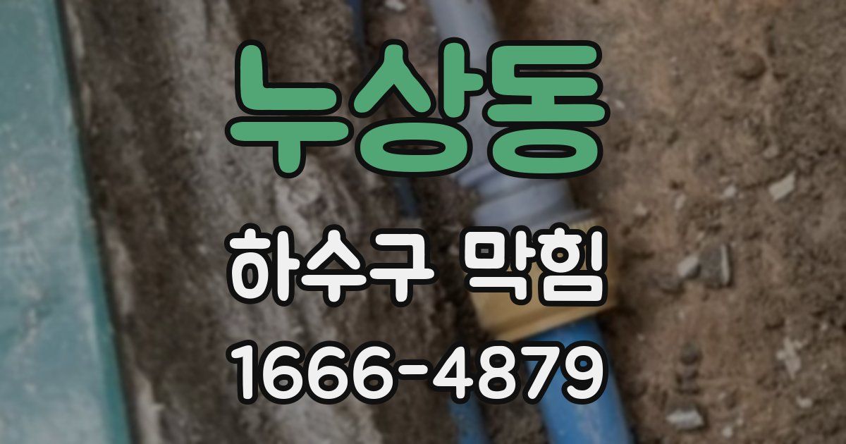 누상동 하수구 막힘