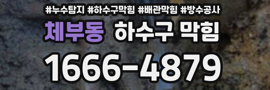체부동 하수구 막힘