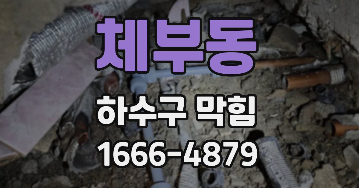 체부동 하수구 막힘