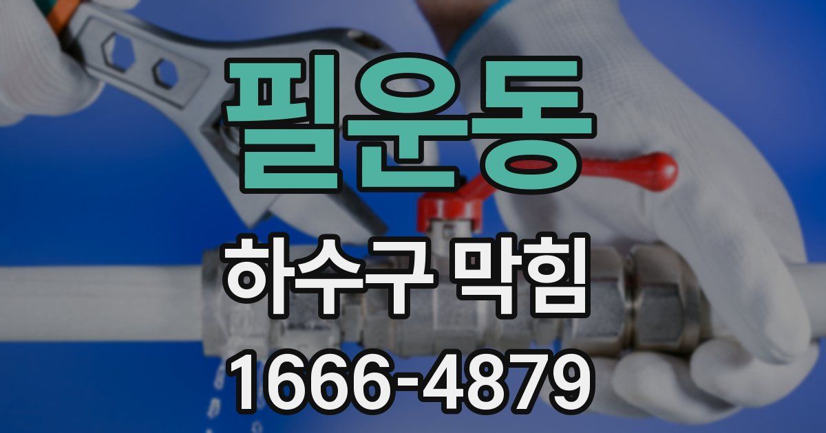 필운동 하수구 막힘