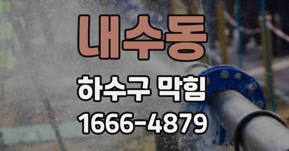 내수동 하수구 막힘