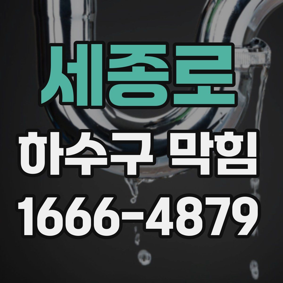 세종로 하수구 막힘