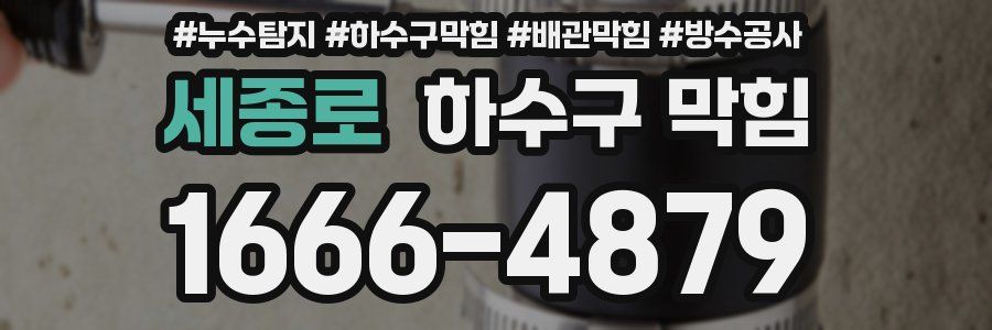 세종로 하수구 막힘