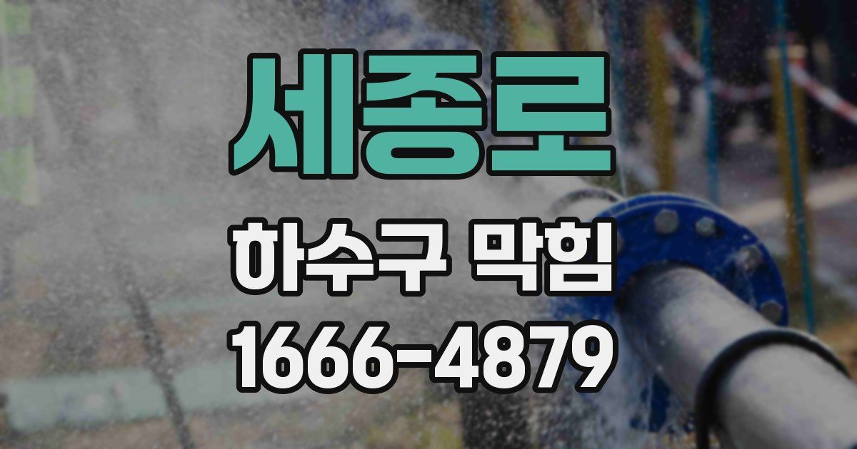 세종로 하수구 막힘