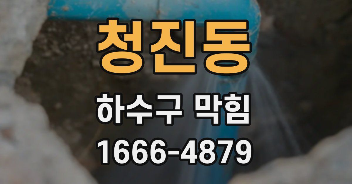 청진동 하수구 막힘