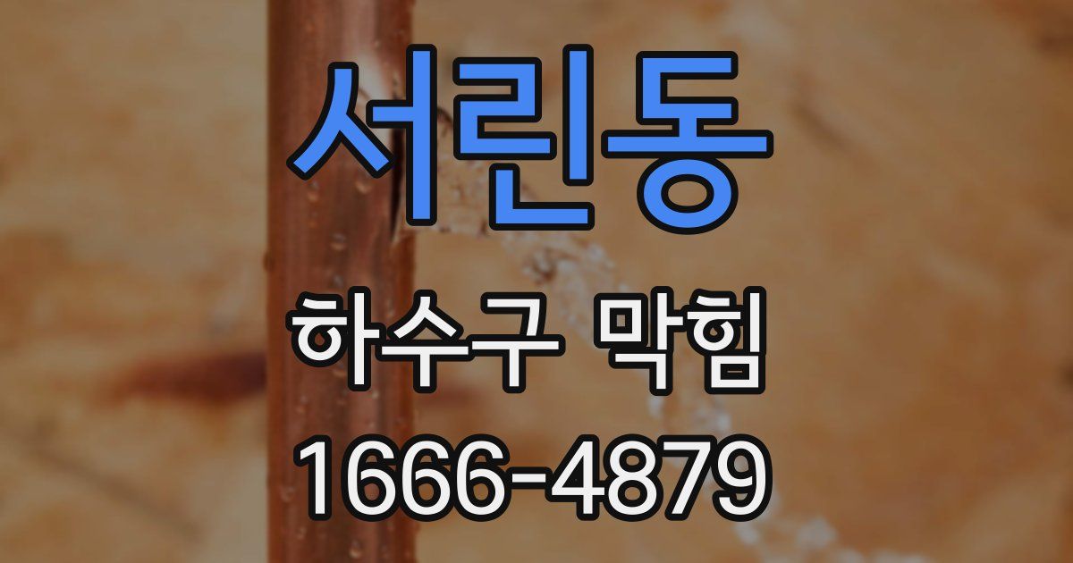 서린동 하수구 막힘