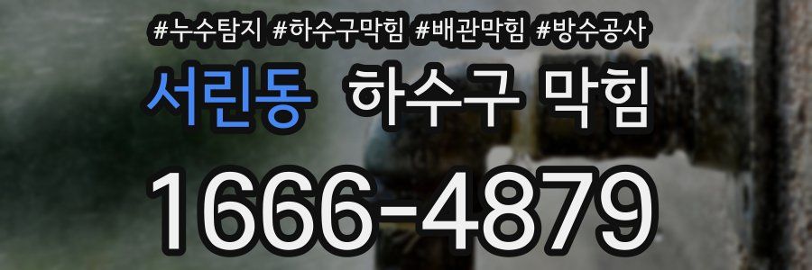서린동 하수구 막힘