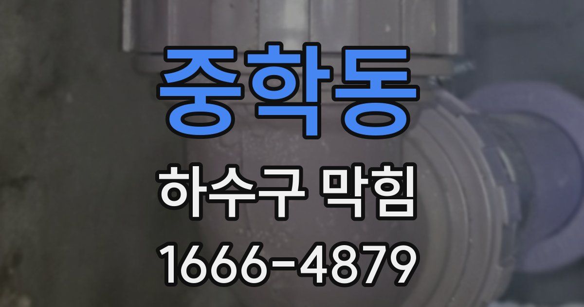 중학동 하수구 막힘