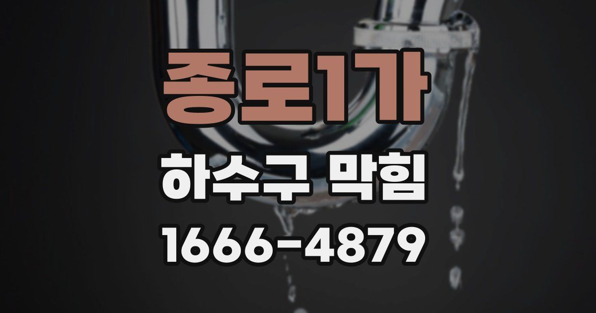 종로1가 하수구 막힘