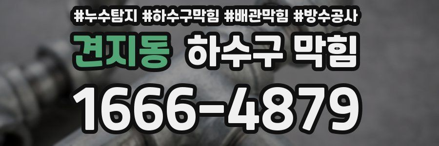 견지동 하수구 막힘