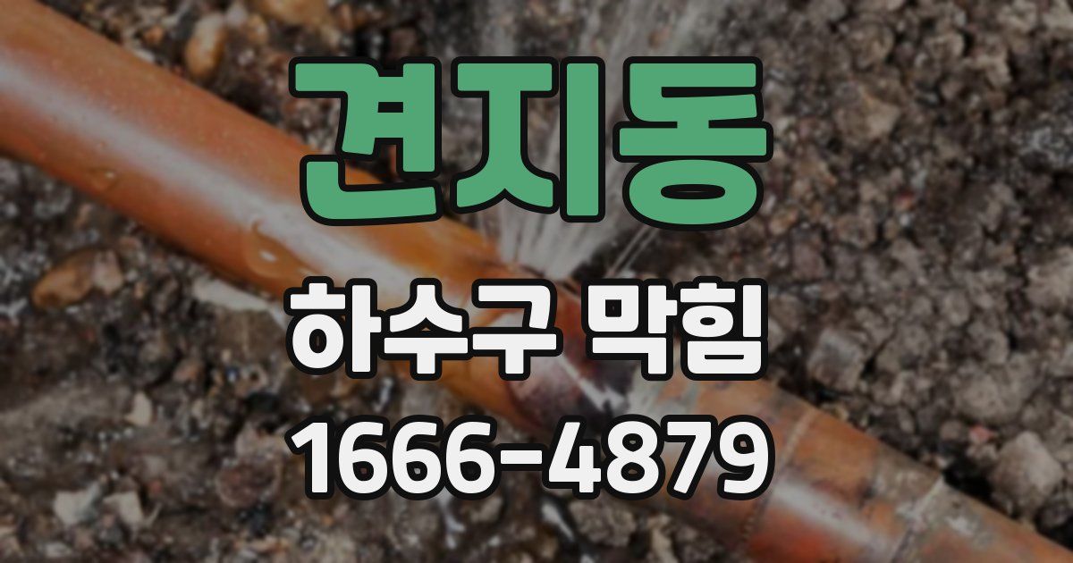견지동 하수구 막힘