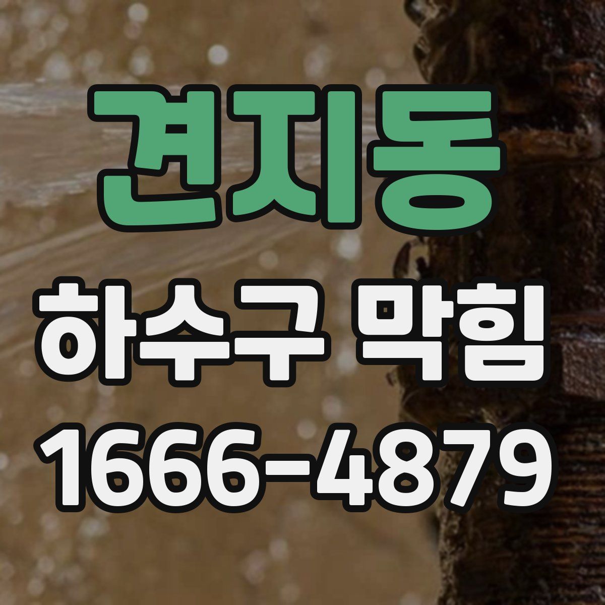 견지동 하수구 막힘