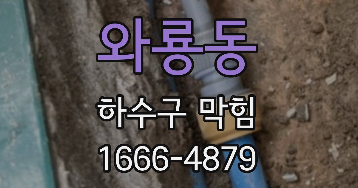 와룡동 하수구 막힘