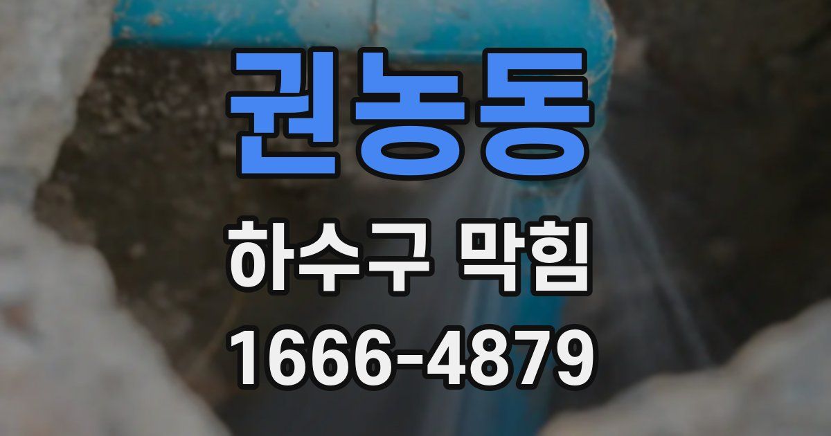 권농동 하수구 막힘