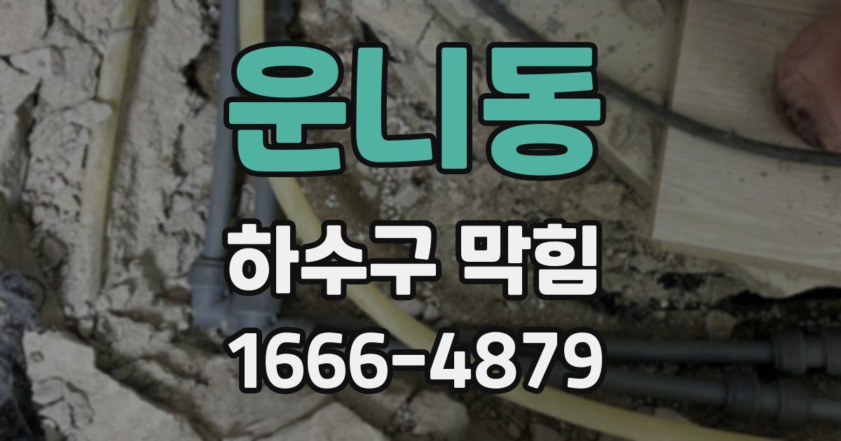 운니동 하수구 막힘