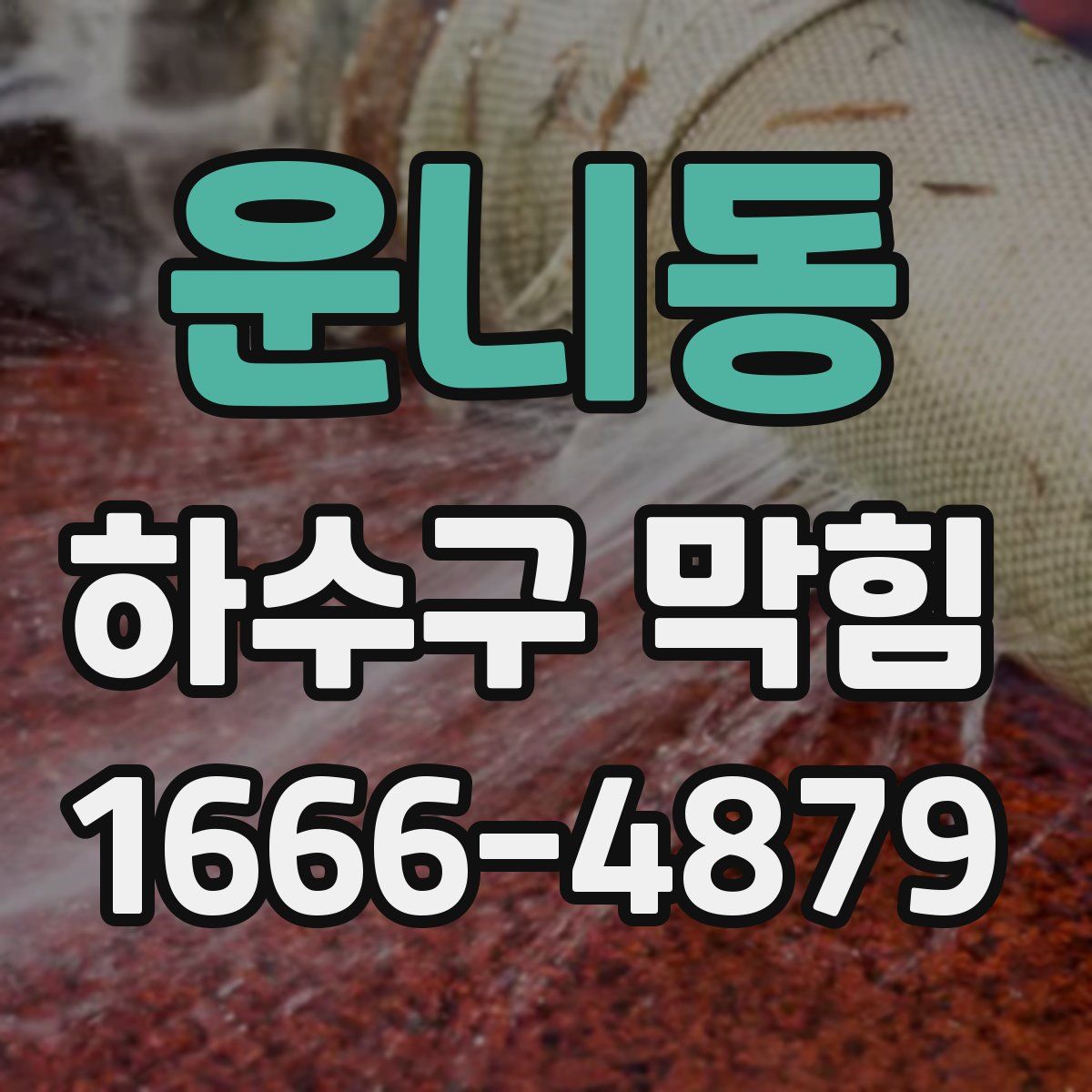 운니동 하수구 막힘
