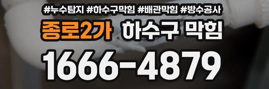 종로2가 하수구 막힘