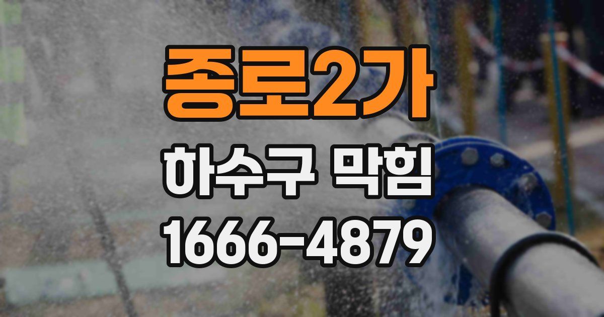 종로2가 하수구 막힘