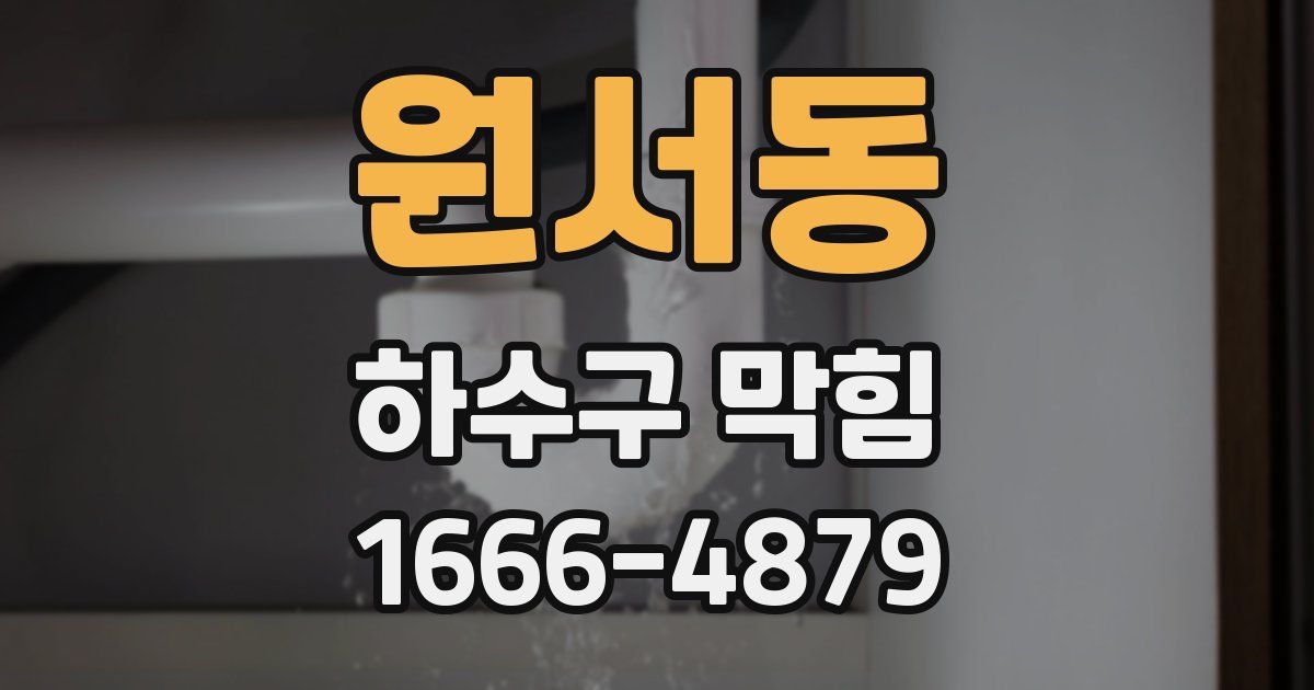 원서동 하수구 막힘