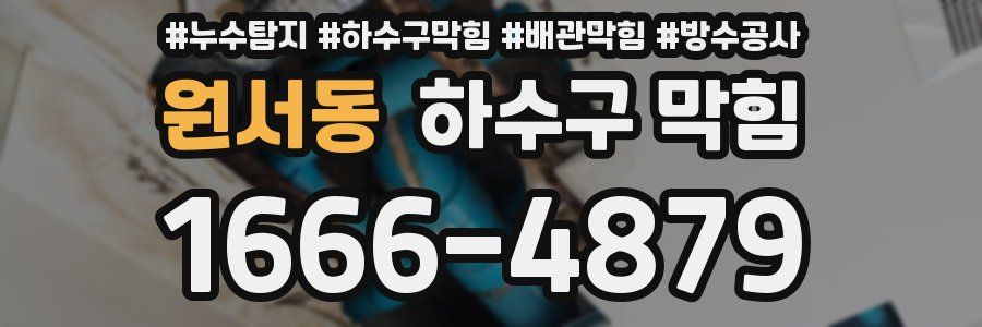 원서동 하수구 막힘