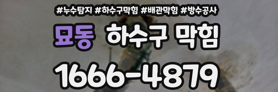 묘동 하수구 막힘