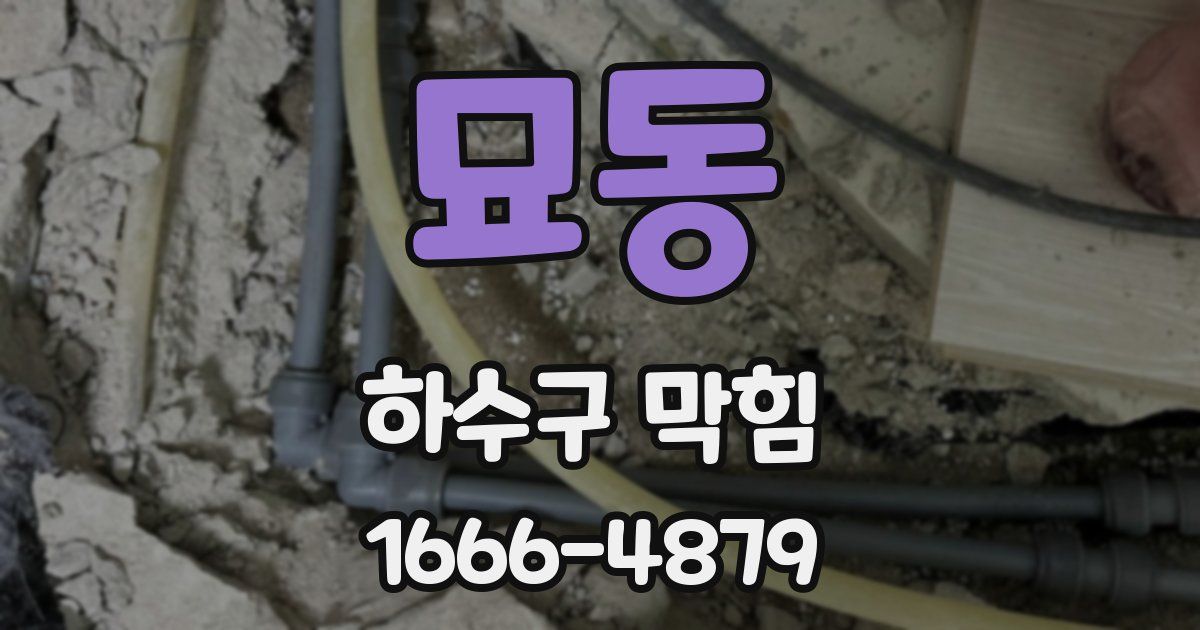 묘동 하수구 막힘