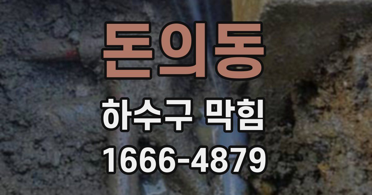 돈의동 하수구 막힘