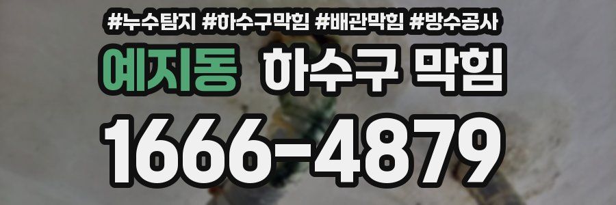 예지동 하수구 막힘