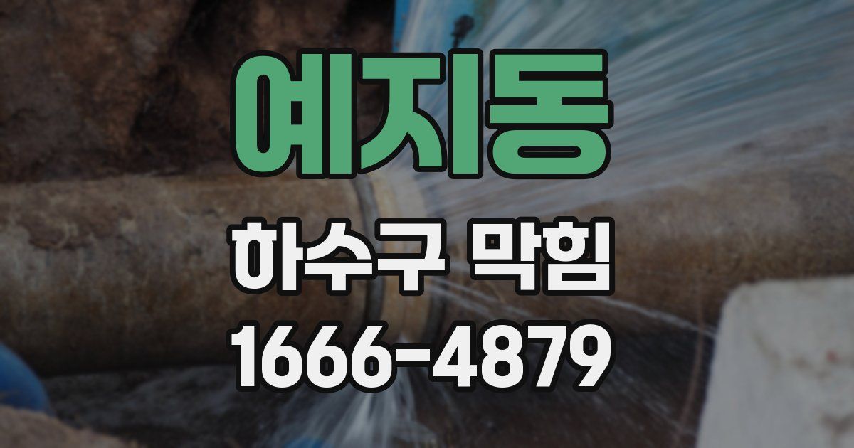 예지동 하수구 막힘