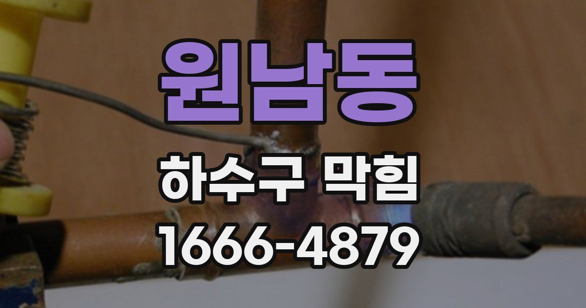 원남동 하수구 막힘