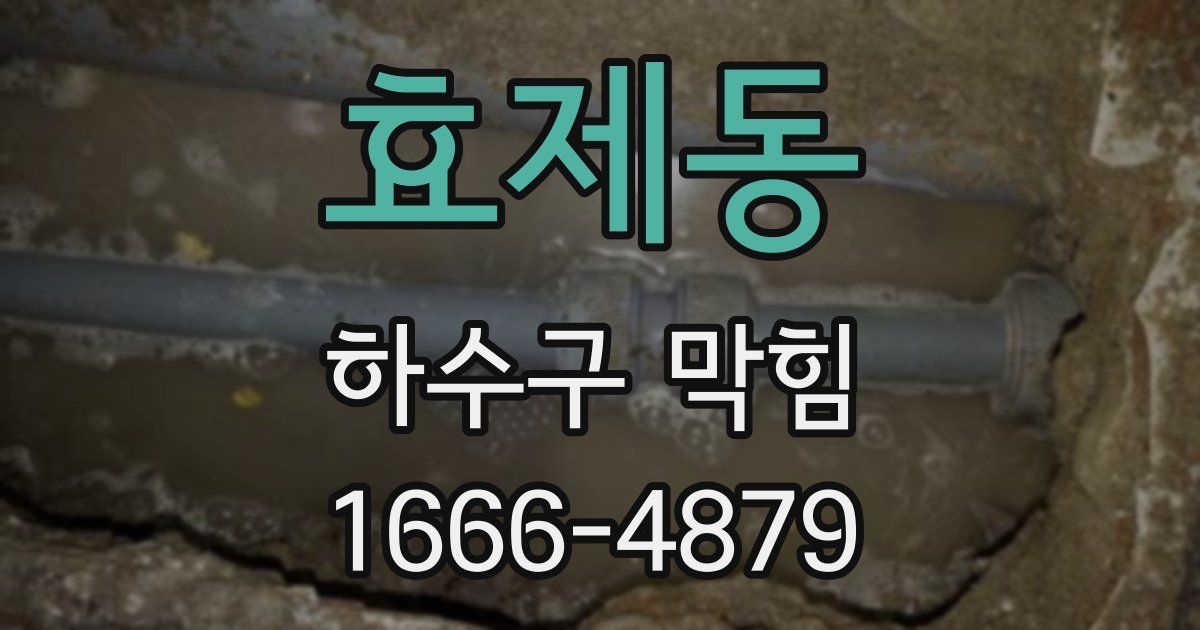효제동 하수구 막힘