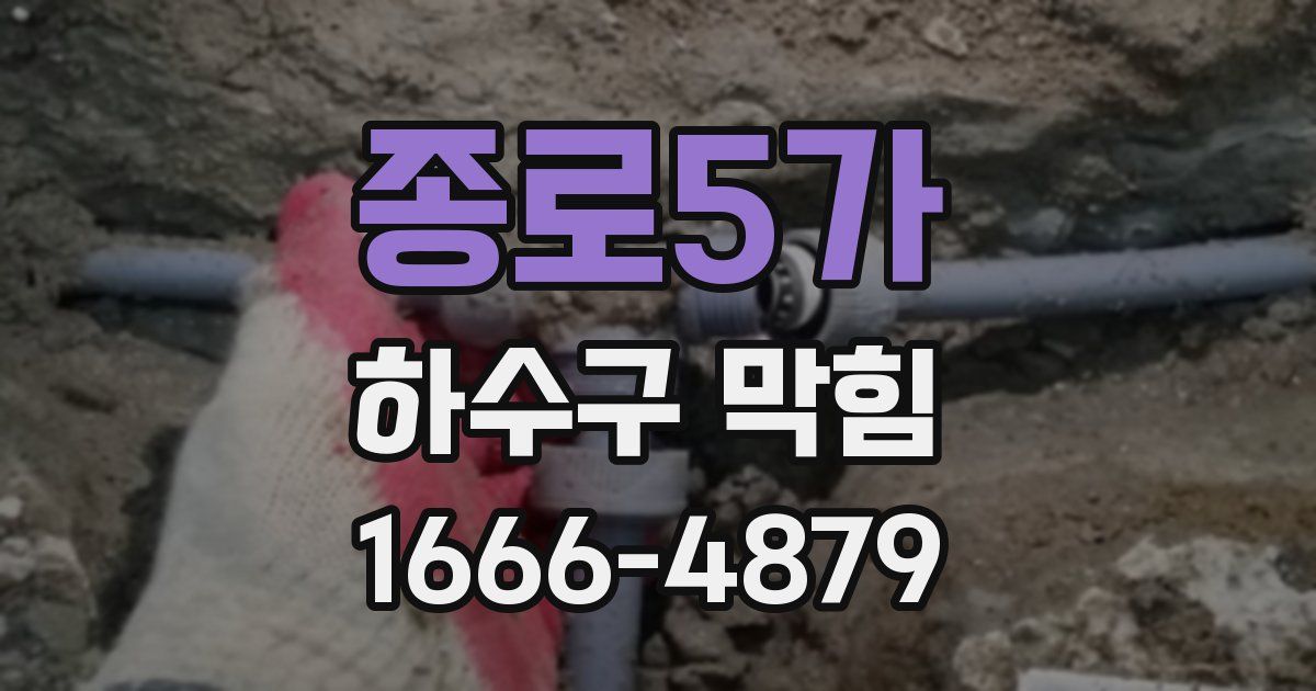 종로5가 하수구 막힘