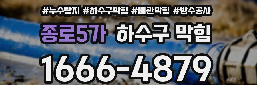 종로5가 하수구 막힘