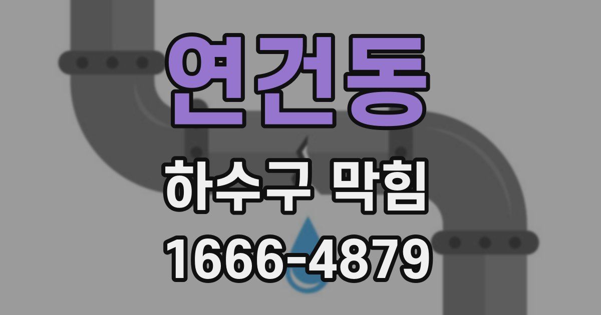 연건동 하수구 막힘