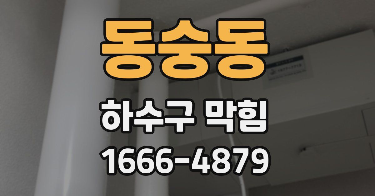 동숭동 하수구 막힘